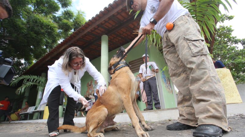 Fortaleza realiza vacinação antirrábica como profilaxia pre-exposição para profissionais da área animal
