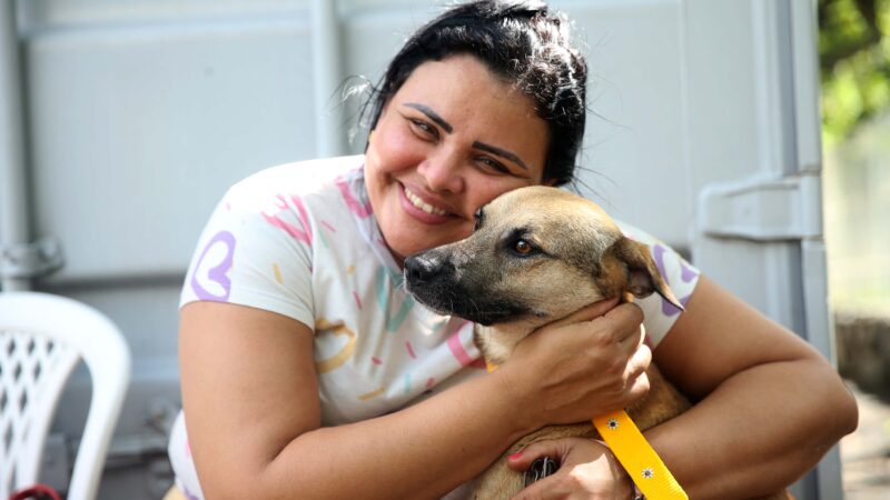 VetMóvel realiza consultas veterinárias e castração no bairro Sapiranga a partir desta terça-feira (06/09)