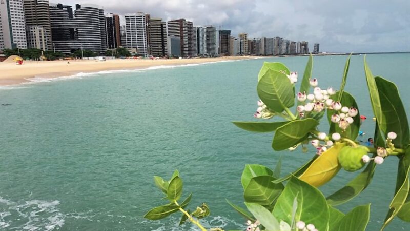 Balneabilidade: 15 trechos de praias em Fortaleza estão próprios para banho