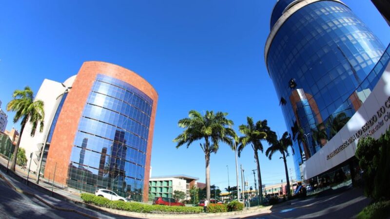Solenidade celebra Dia Nacional de Luta contra a Endometriose nesta segunda
