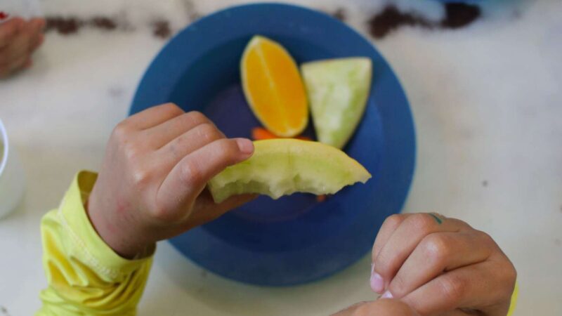 Com Mais Nutrição, Ceará tornou-se referência no combate à fome