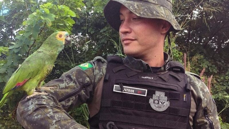 Dia de Proteção às Florestas: conheça o trabalho das forças de segurança no combate aos crimes ambientais no Ceará