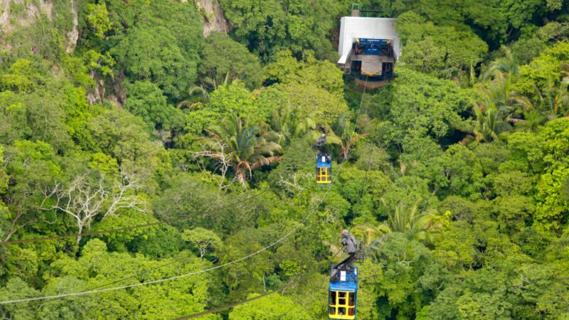 Bondinho de Ubajara alcança a marca de 100 mil usuários transportados