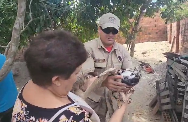 Pata Doralice é resgatada de poço pelo Corpo de Bombeiros no Ceará