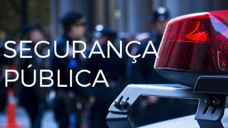 PMCE resgata tamanduá mirim em Barbalha