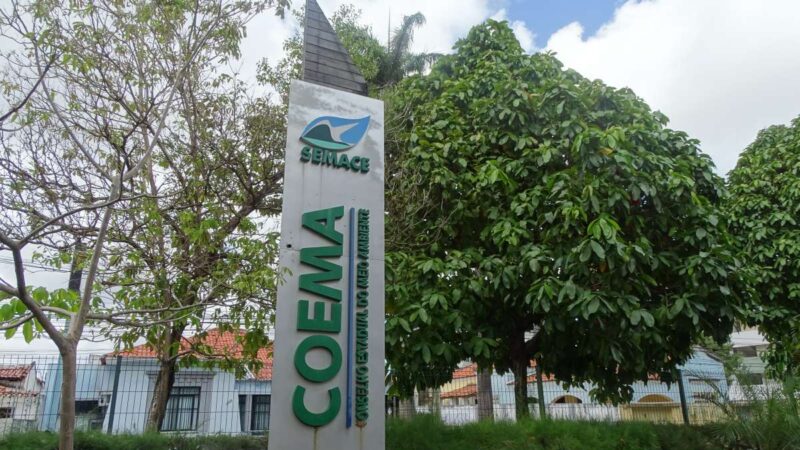 Projeto do Hub de Hidrogênio Verde volta a ser pauta em reunião do Coema