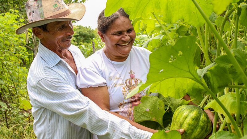 Sertão Vivo: Ceará terá R$ 252 milhões para beneficiar 63 mil famílias