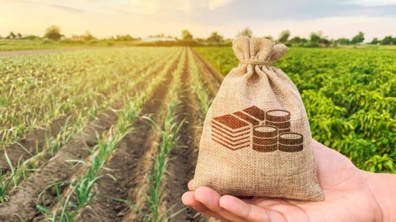 Audiência na Alece debate a renovação de arrendamentos de agricultores