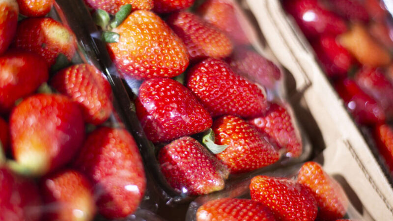 Morango apresenta queda de 11,11% em seu preço na Ceasa Tianguá