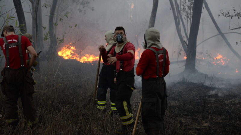 CBMCE atua ininterruptamente em combate a incêndio no Parque do Cocó