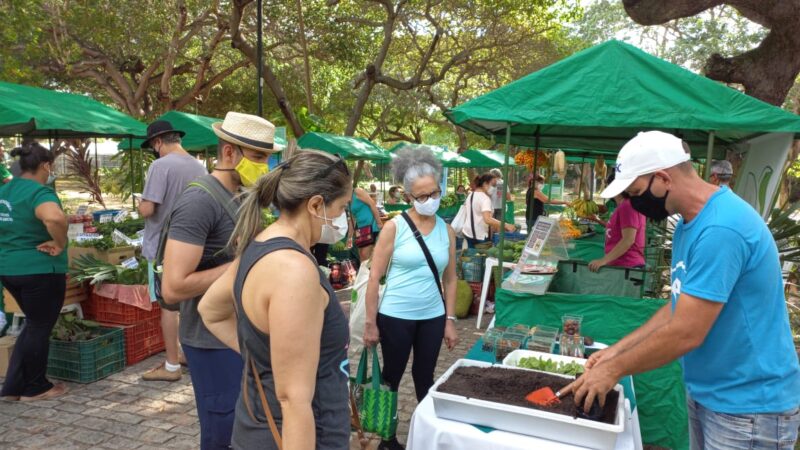 Parque do Cocó abriga tradicional feira Agroecológica neste sábado