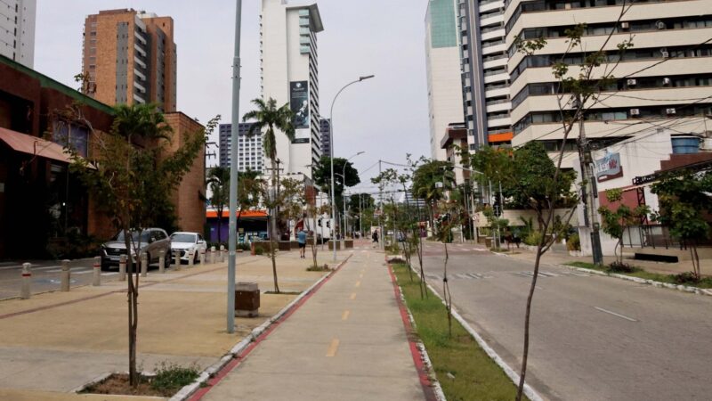 Mais verde: plantio de mudas em Fortaleza aumenta mais de 137% em comparação ao primeiro trimestre de 2023