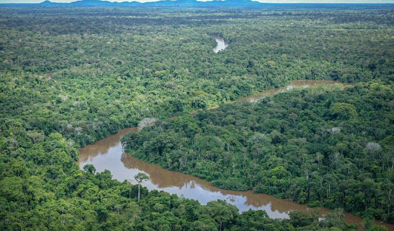 Governo lança parceria para combater incêndios e desmatamento na Amazônia