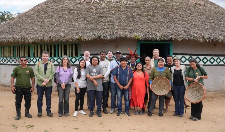 Ação em terra Yanomami tem 94% de queda áreas degradadas para garimpo