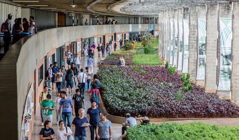 Desenrola Fies: mais de 253 mil pessoas já foram beneficiadas em todo o País