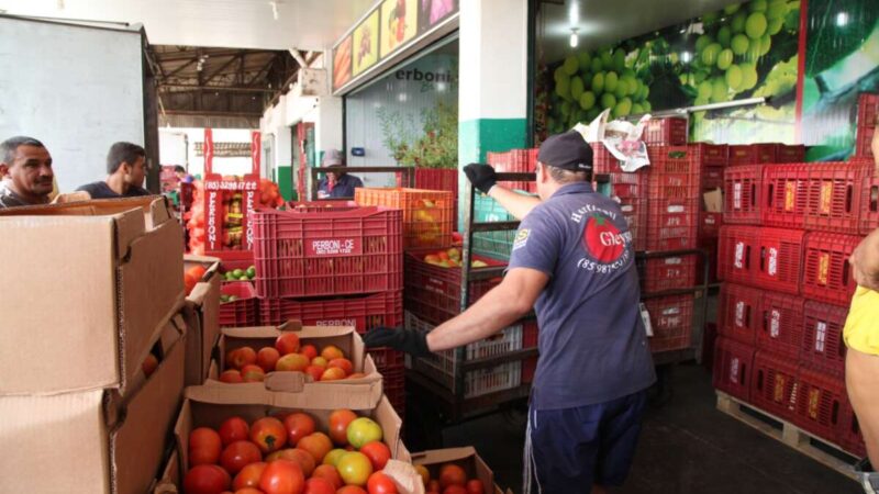 Tomate declina de preço na Ceasa em Maracanaú