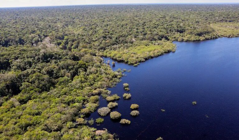 Governo federal vai percorrer biomas brasileiros para discutir emergência climática com a população