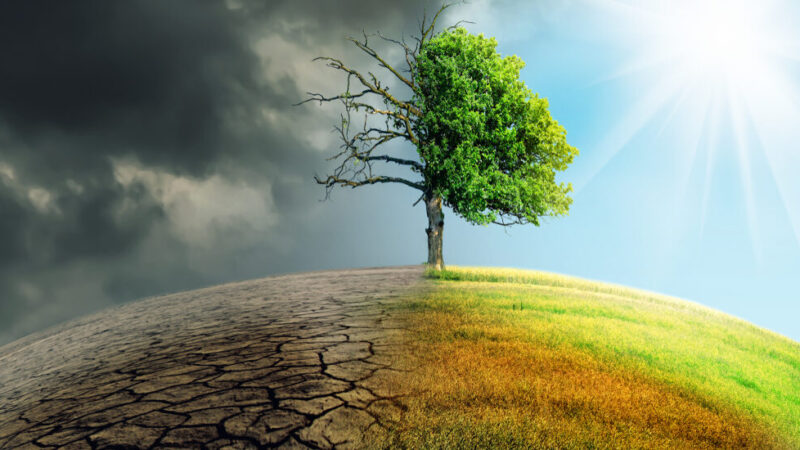 Alece realiza audiência pública para debater ações contra crise climática