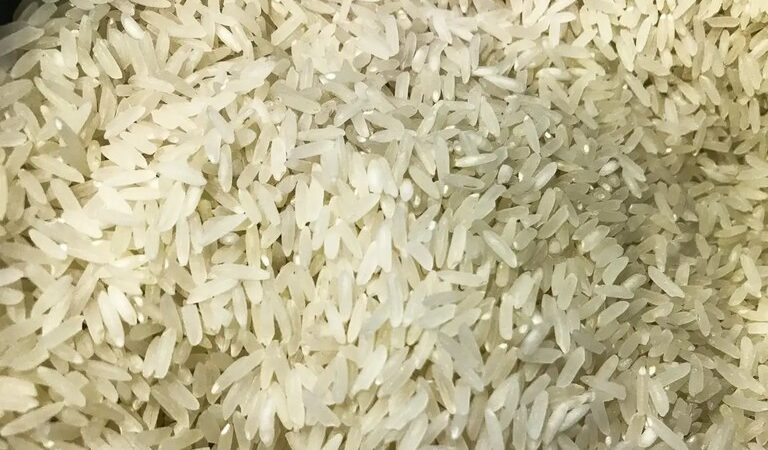 Conab recebe crédito extra de R$ 998 milhões para compra de estoques de arroz