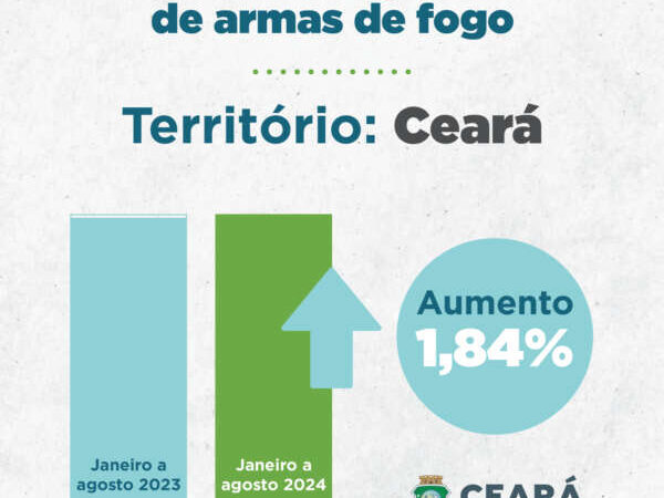 Forças de Segurança apreendem 4.369 armas de fogo de janeiro a agosto de 2024 no Ceará