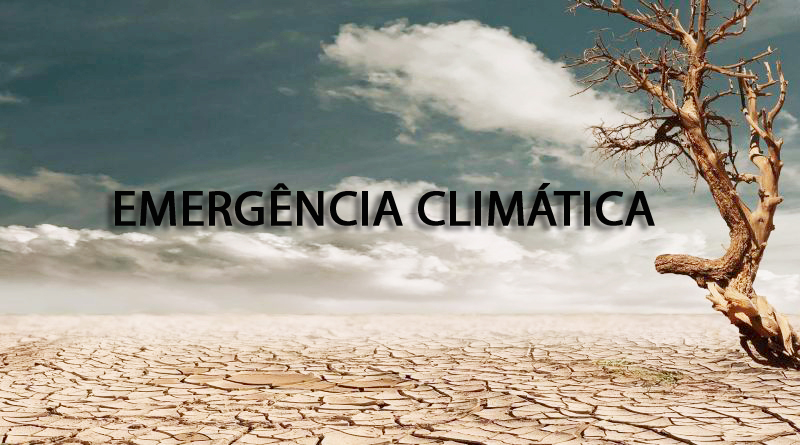 Comissão de Direitos Humanos promove audiência pública sobre emergência climática