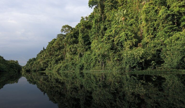 BNDES libera em sete meses 2,5 vezes o valor aprovado em dez anos de Fundo Clima