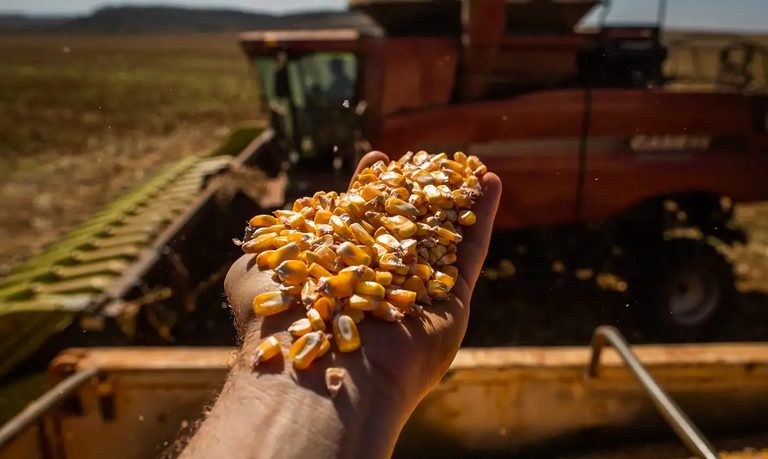 Conab: com mais produtividade, safra de grãos 24/25 projeta recorde de 332,9 milhões de toneladas
