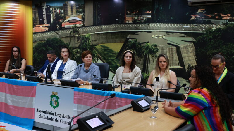 Retificação gratuita da certidão de pessoas transgênero é cobrada durante audiência pública