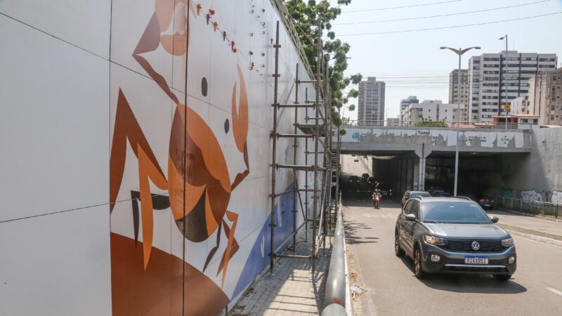 Prefeitura de Fortaleza inicia instalação de painéis temáticos em túneis da cidade