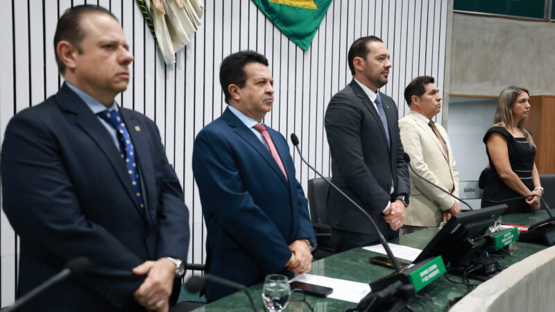 Deputados prestam minuto de silêncio por Dulce Rossas e César Augusto Pinheiro