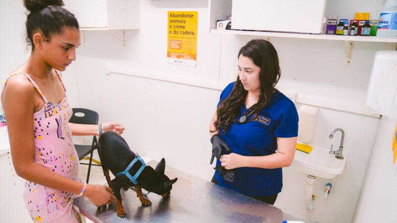 VetMóvel chega aos bairros Jangurussu e Henrique Jorge com atendimento veterinário gratuito