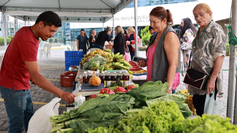 Com mais expositores, Feira de Orgânicos da Alece volta a ser sucesso entre servidores e visitantes