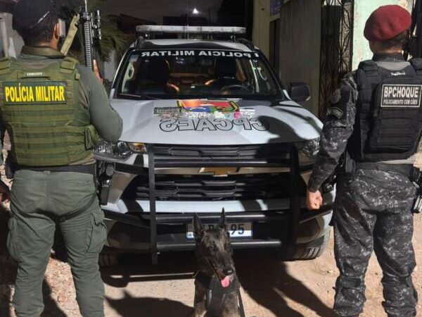 PMCE apreende drogas escondidas em córrego da Capital com auxílio de um cão farejador