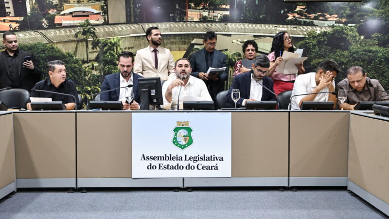 Comissões de Agropecuária e de Viação, Transporte e de Desenvolvimento Urbano realizam reuniões