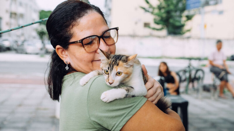 Pet Ceará Móvel oferece castração gratuita no bairro Luciano Cavalcante entre 24 e 28 de fevereiro