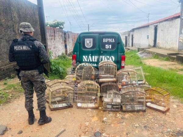 Homem é detido e 29 aves silvestres são resgatadas pela PMCE em Caucaia