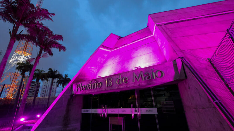 Parlamento cearense se ilumina de rosa e reforça compromisso com as mulheres