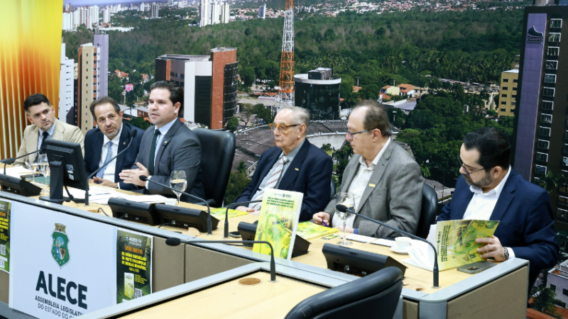 Relatório de frente parlamentar mostra avanços e desafios da energia limpa no Ceará
