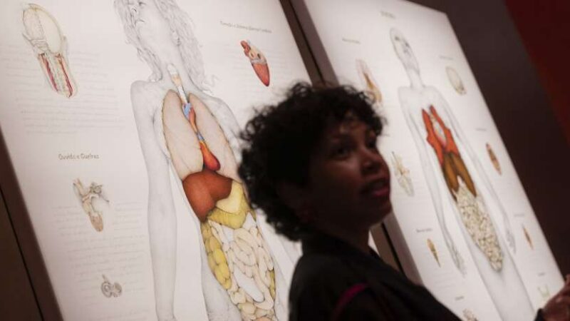Mostra audiovisual, oficinas e palestras abertas ao público movimentam semana da Pinacoteca do Ceará