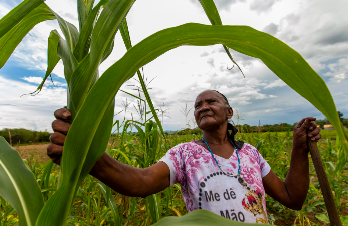 Audiência pública na Alece debate certificação pública de orgânicos para agricultura familiar no Estado