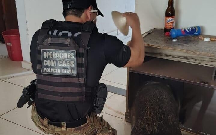 Operação Hidra apreende drogas e munições na região